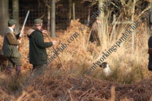 field trials 2016-17