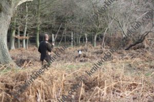 field trials 2016-17